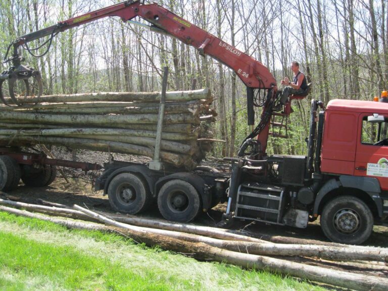 Châtaignier en grume – Camion de 50 stères – 1 290€ TTC